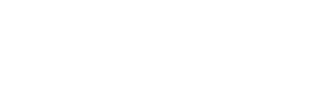ORBIT COM (1)