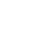DINOSAURS (2)